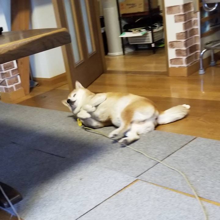 8fc7f3cb c9da 4fad a88e ca707d0851e0 1638848296804