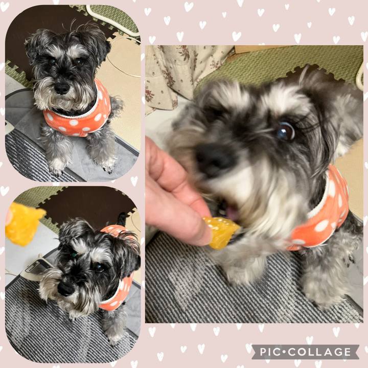 8fc7f6a1 d614 42b1 988d dbb21bf15e3b 1770783102775