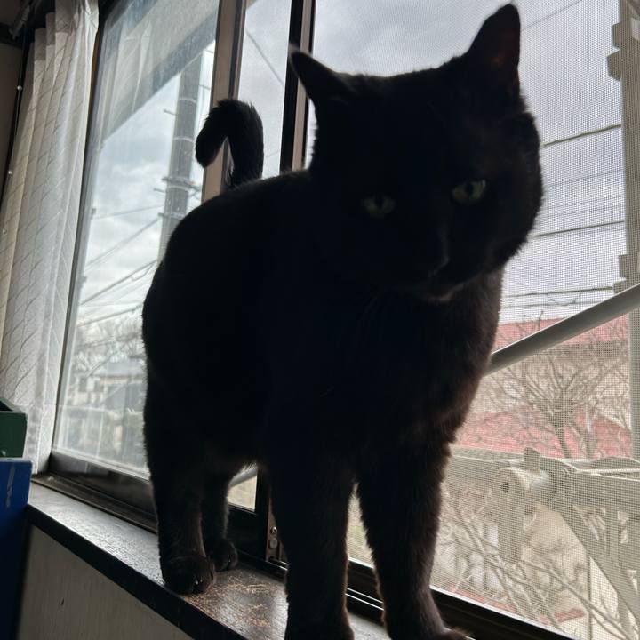 8fc806e0 759d 4c51 9b13 3d9c9cc1f22a 1743598667390