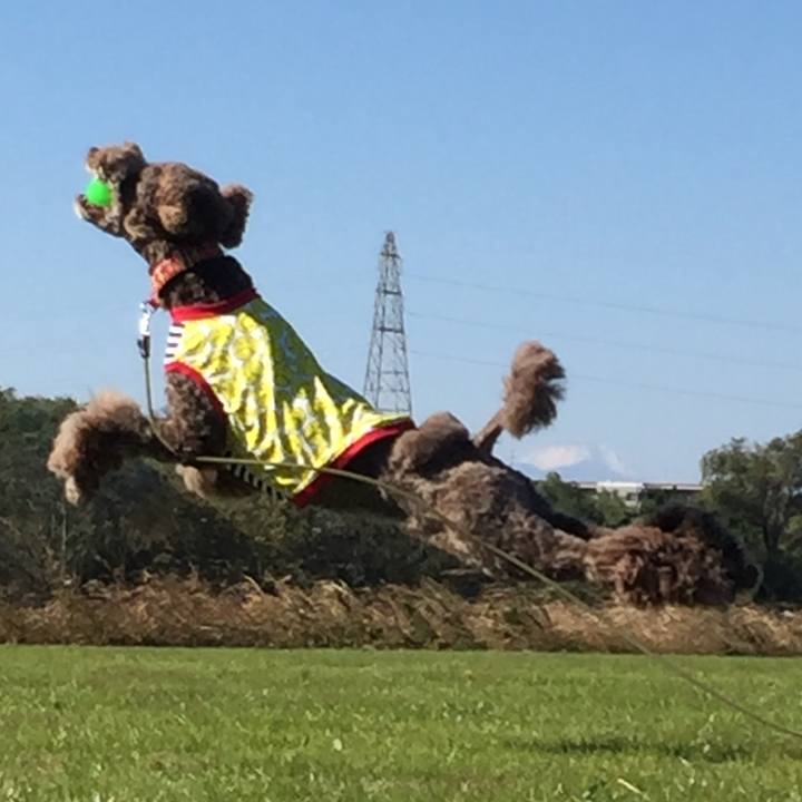 8fc88579 1e58 4a4f 9bdf 24a4b33754ec 1510218612775