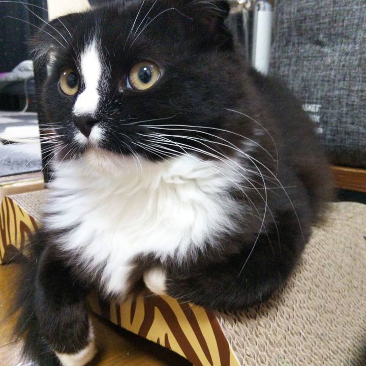 8fc88f14 7756 4c10 8120 28b3a3921b43 1643547422732