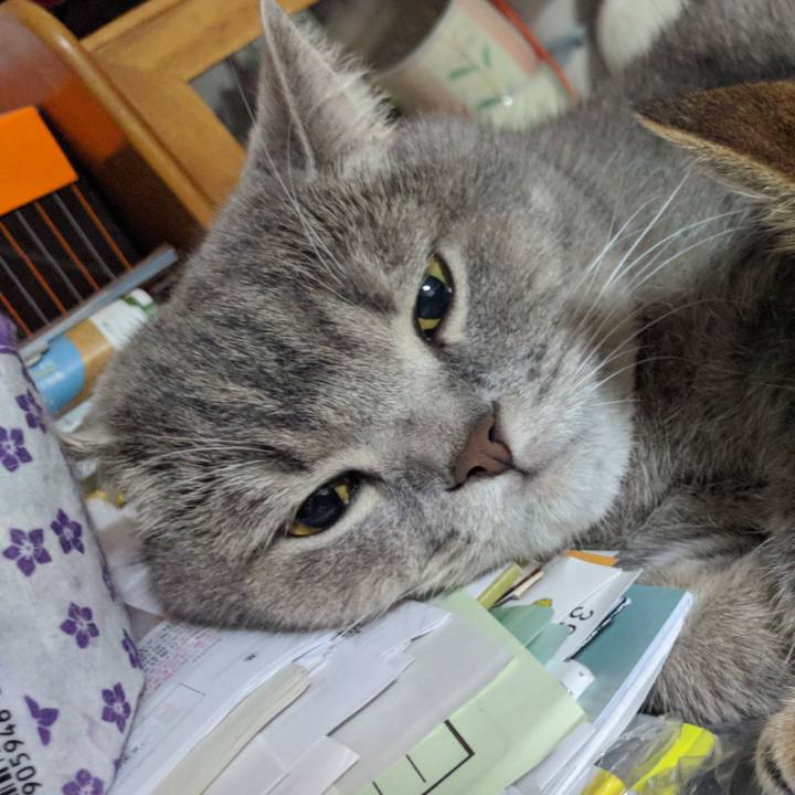 8fc8aa53 a718 4547 bf41 0859be530c09 1569650653321