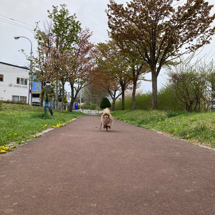 8fc8cbf6 7fac 40aa ba0e 0ce8d9e59c92 1651200742546