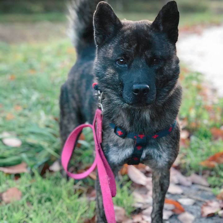 8fc8d133 996c 46ed a26e 6550882f5e4b 1512601354376