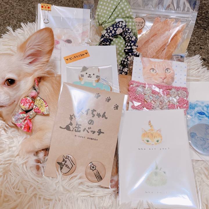 8fc973a2 3171 415f b8f2 ad44b55d2f94 1664707460690