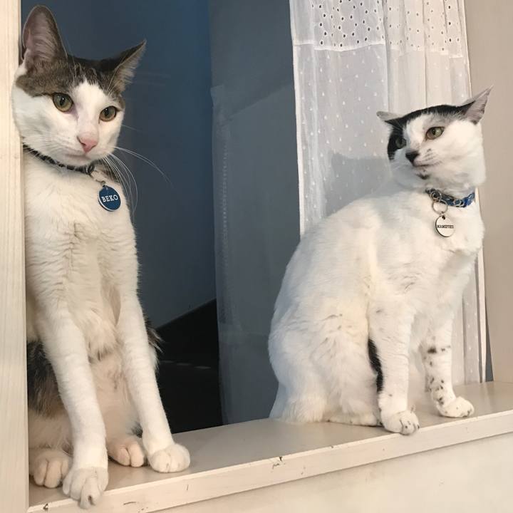 8fc97569 6670 4002 ba14 f823ebdb3f79 1526037105670