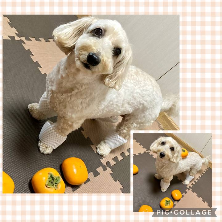 8fc99f7c 439e 449e ae54 2b37ac0b94a9 1761013733765