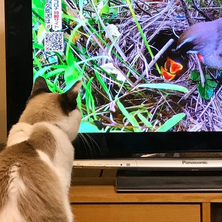 8fc9c941 db13 4586 8493 4ea3a3f512e2 1593337907856