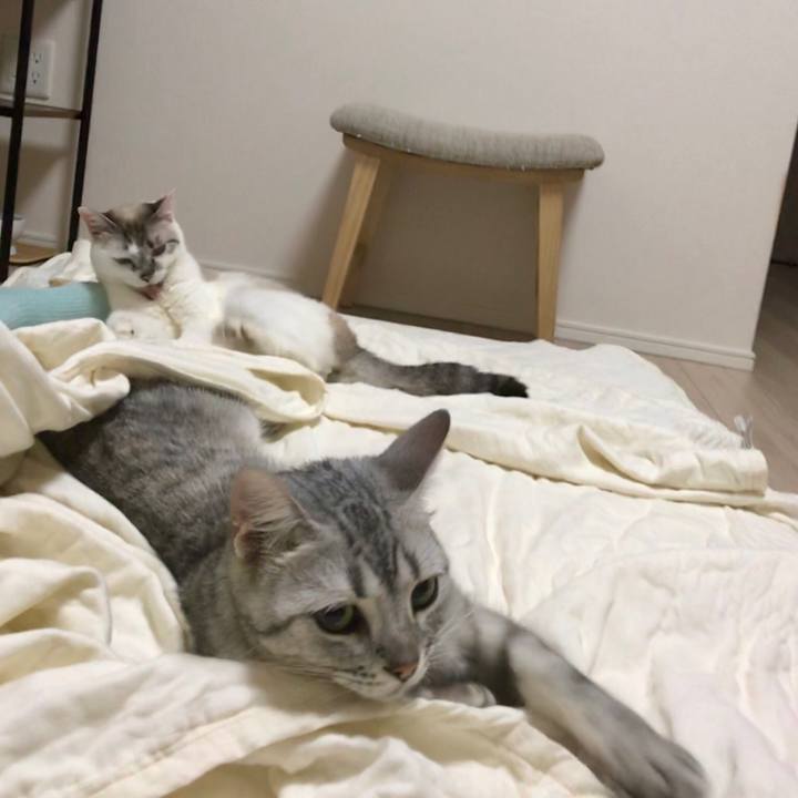 8fc9f57c 818f 4ba8 a0a4 74553e9372fc 1531054941518