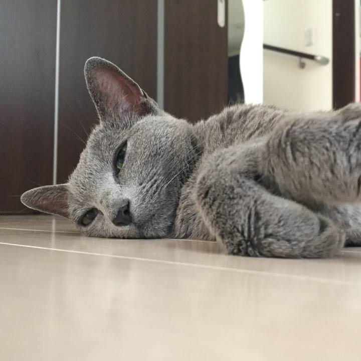 8fca2ad3 f5cb 4a4c 864a 502da9956a22 1566827550773