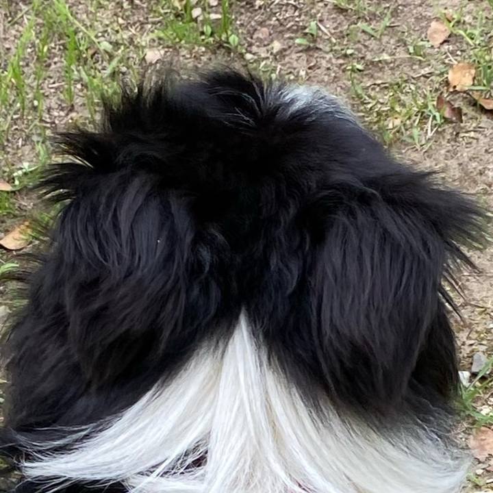 8fca6f0a 81ca 433f adb9 1062e1f2c956 1684731633569