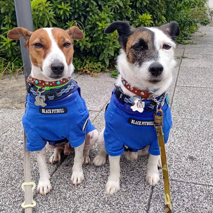 8fca9eb7 48f7 4a5b 866d f624991d42fc 1632692507667