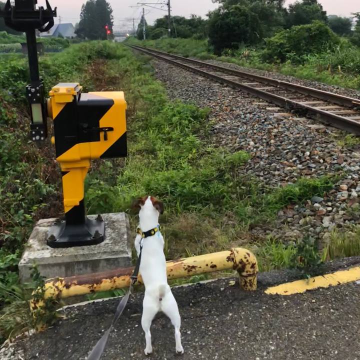 8fcaa65f f138 41a7 b7ae f1810ae7f332 1532086754847