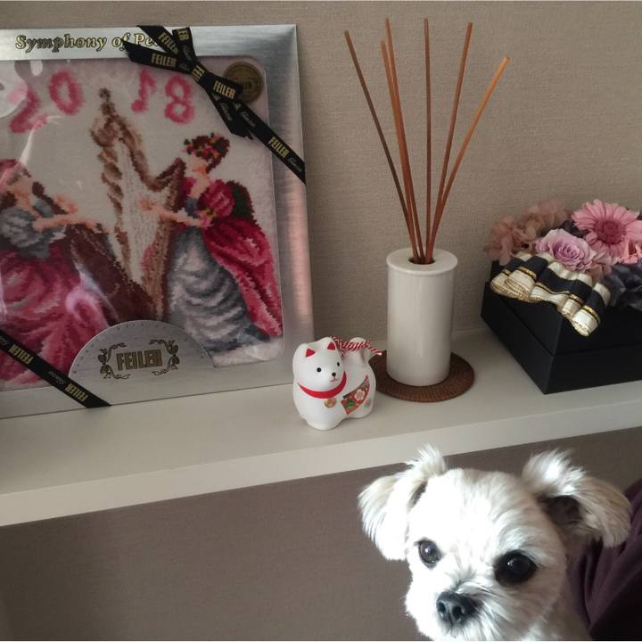 8fcab6f0 e03c 477f a460 713f3e3e61ab 1514972511643