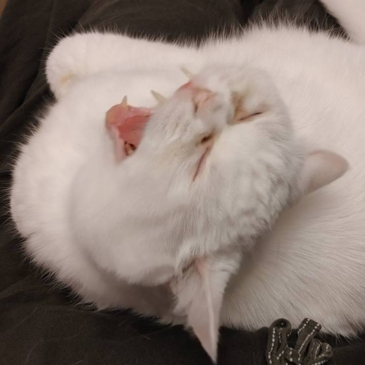 8fcb240d e2aa 4940 98bf b8929ea4c6bb 1622933443233