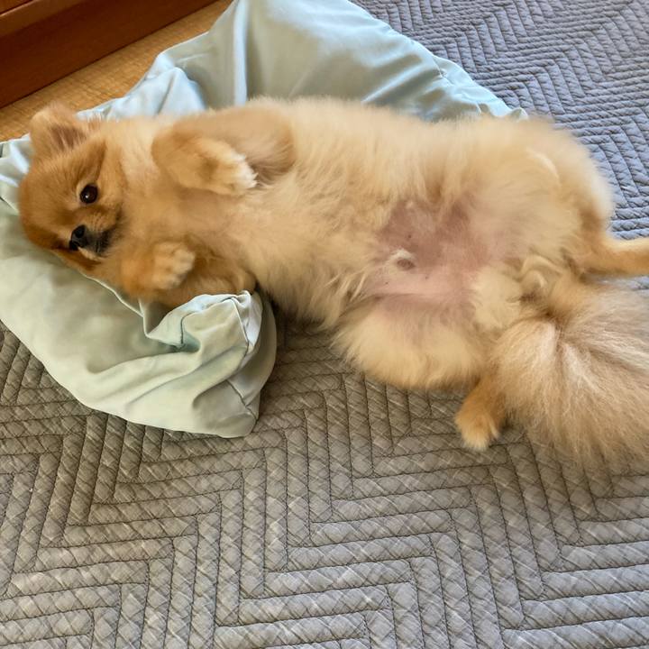 8fcb2937 59f5 4450 bbc9 21a15628891c 1726443524370