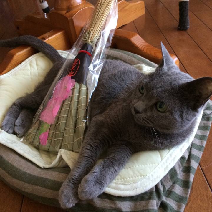 8fcb601c 6f50 4c25 b074 d997c383451c 1532344255886