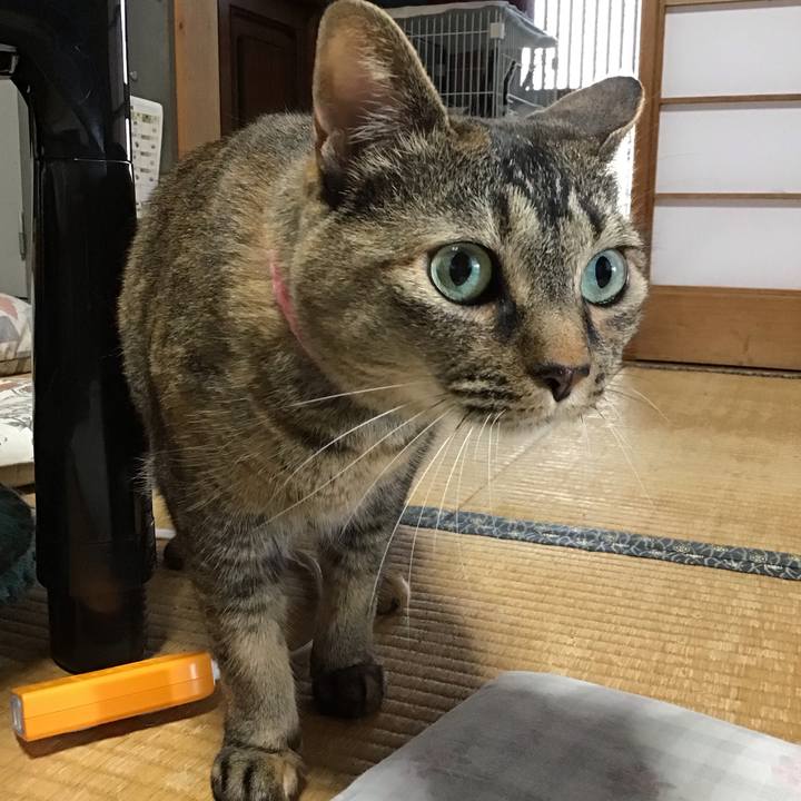 8fcb60db 63c3 4e35 afdd 5fce876595d1 1750586137898