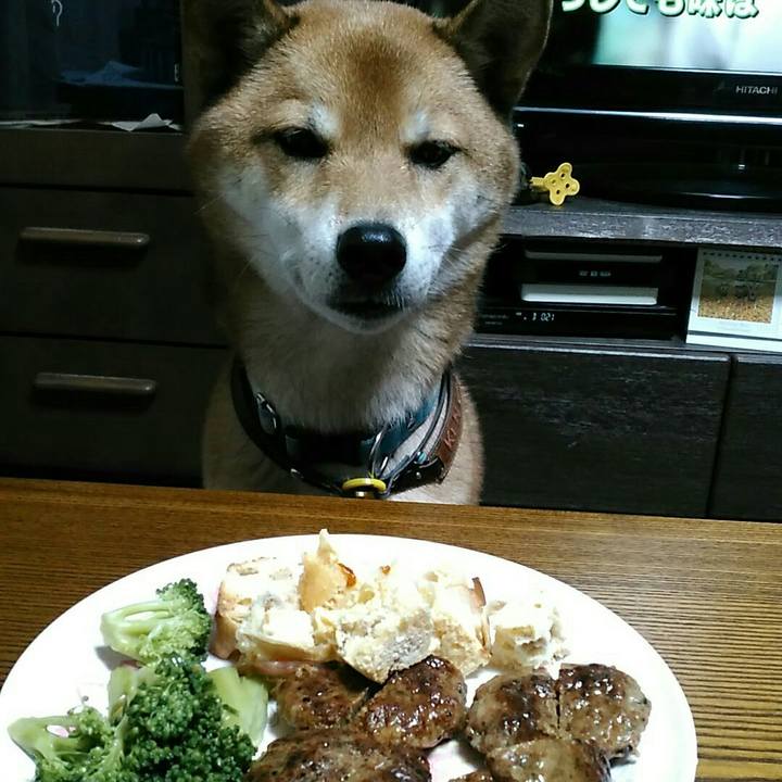 8fcb7eec cea4 434f 9820 623bb24c314a 1543484210252