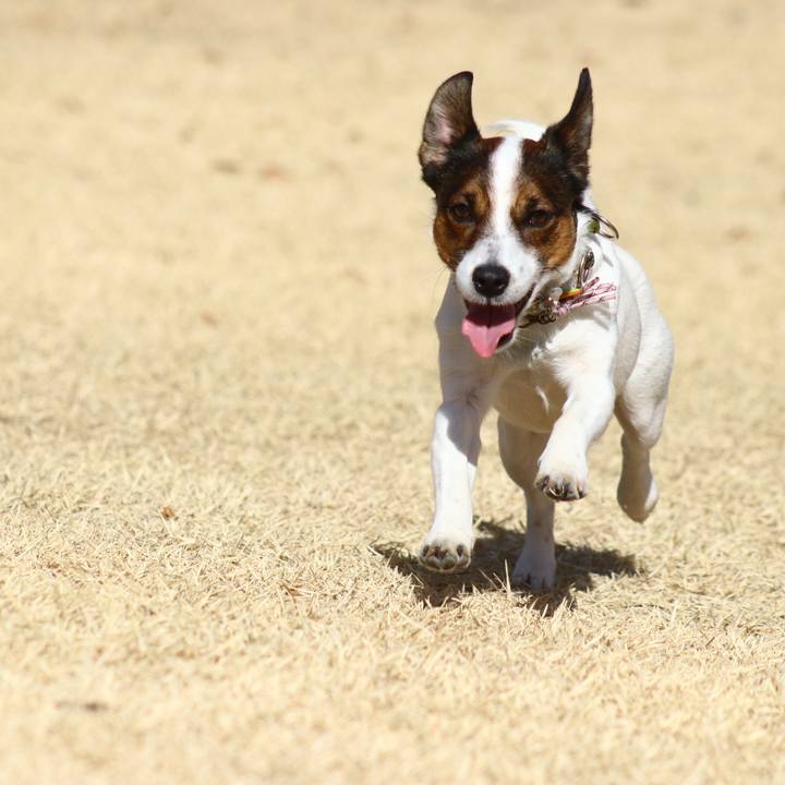 8fcbadcb c62d 4ad5 b8b7 6096dd23a4f7 1548485906051