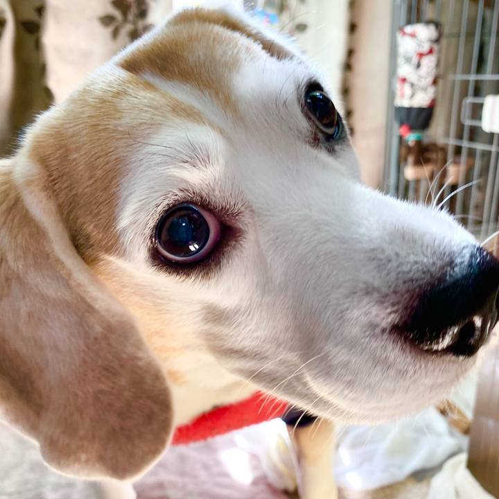 8fcbbabb 00ba 4c27 bed8 ac96ef5190b6 1603514085416