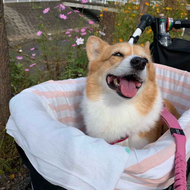 8fcbd2e6 b8b5 4103 be21 d8ca19ab6d4f 1697246692318