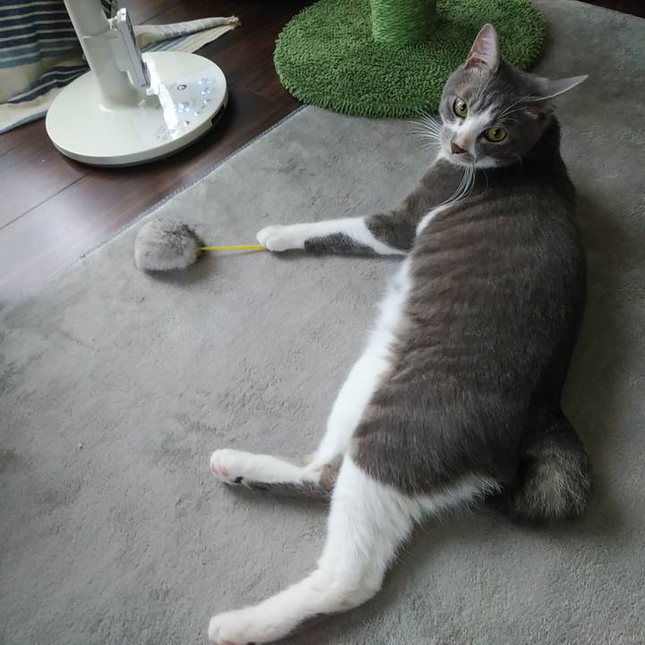 8fcbefb6 fc6b 417f 8b59 0472f848a3fc 1594688645033