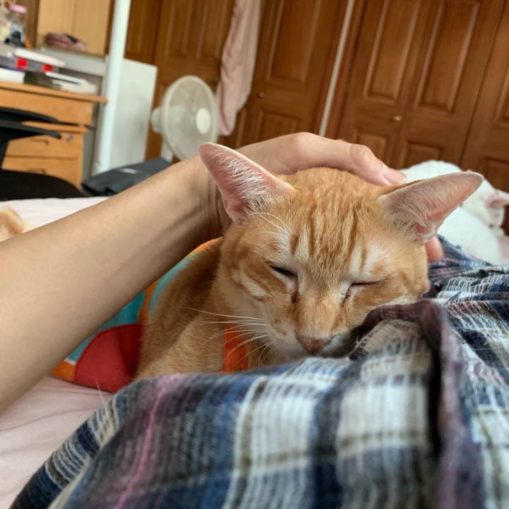 8fcc740f 39ba 4d7a 80c6 a60d46e1882b 1564520903575