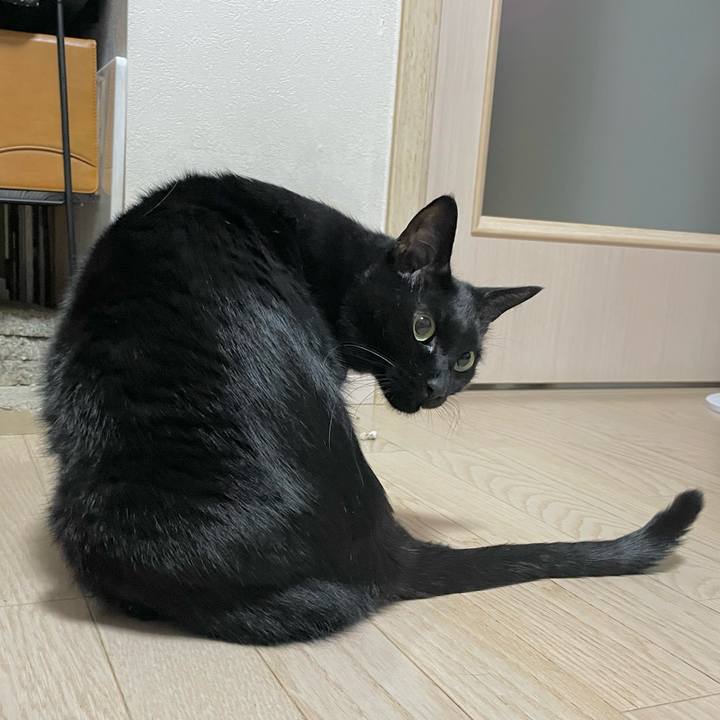 8fccb8d7 51d2 470c 9775 0533289e2a52 1699964436470