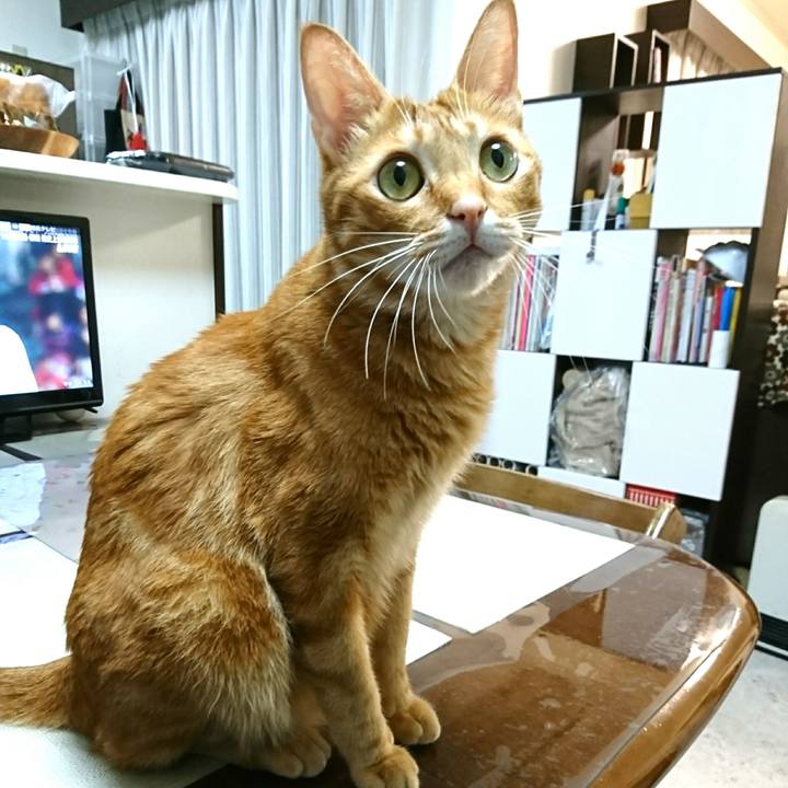 8fcd2a58 7efe 4588 bb91 a709c648afb4 1542104723639