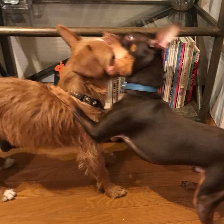 8fcd4482 2542 456b b0b2 8f0307e68e23 1547894130163