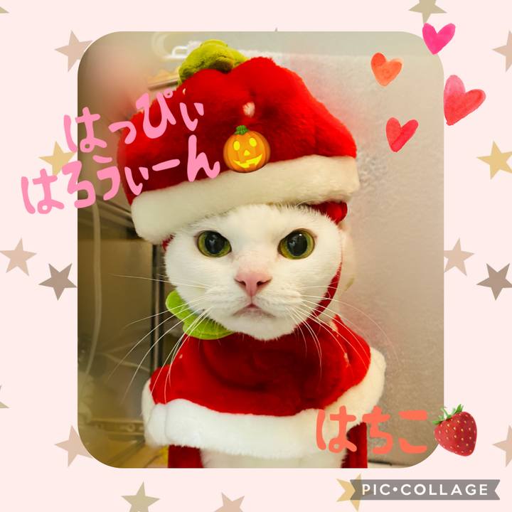 8fcd4f88 5fe4 4e06 b34d f2381d78f981 1761919502098