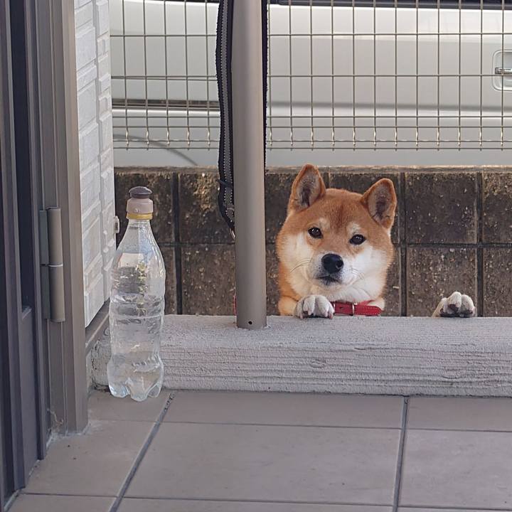 8fcd9361 bd32 4202 b876 d39c37e497b3 1765782281762