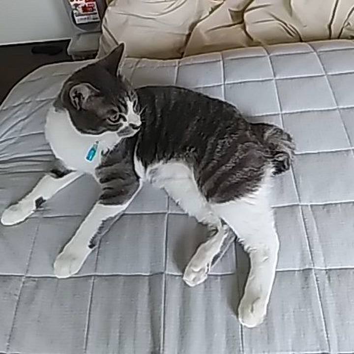 8fcdd577 4a0a 45bd 878c 2361c4e870f9 1588718967984