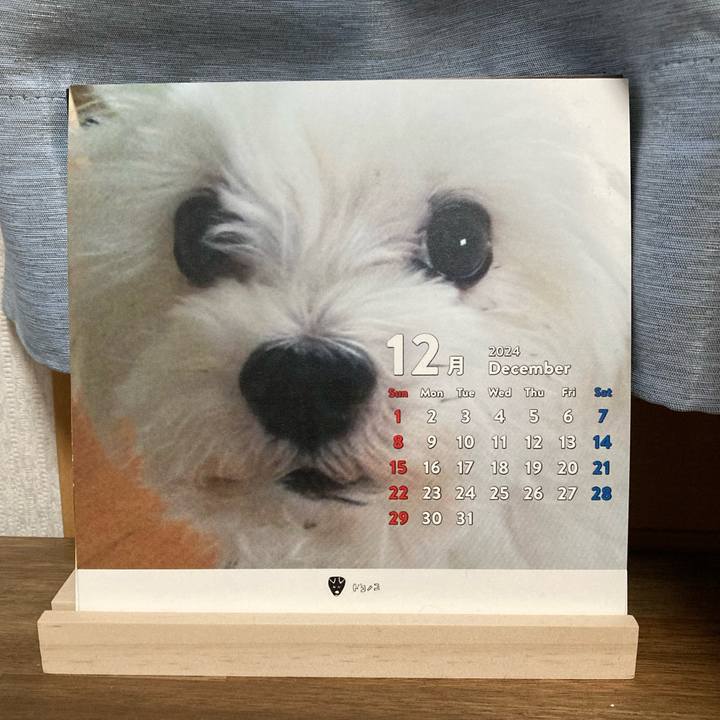 8fcdf3ab 3293 42ae a455 edd47857f1fa 1735572314449