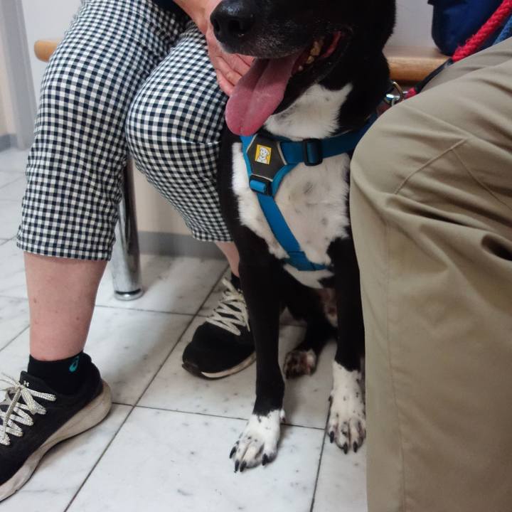 8fce0bea ee31 4659 b700 0c1a6de0f51d 1632913248407