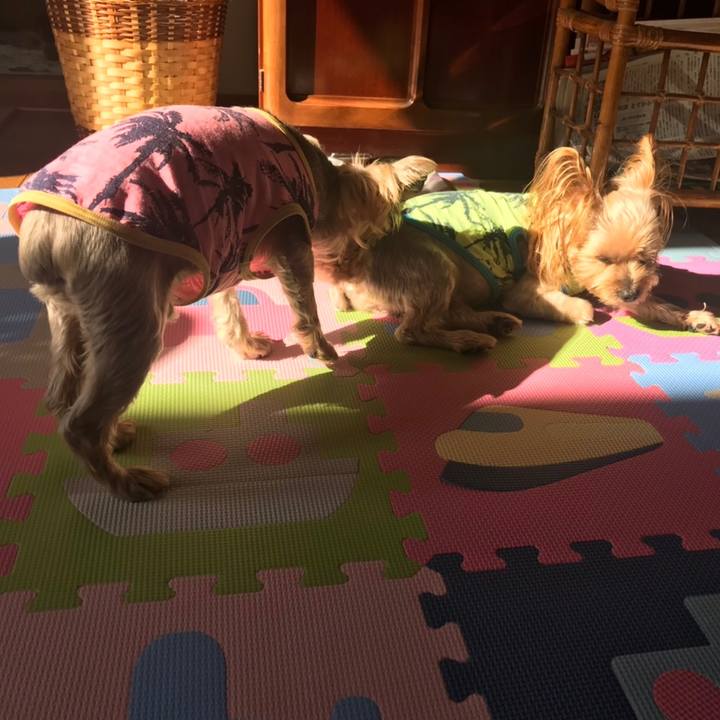 8fce639f e199 4678 a3b3 08a0cd343369 1604395071353