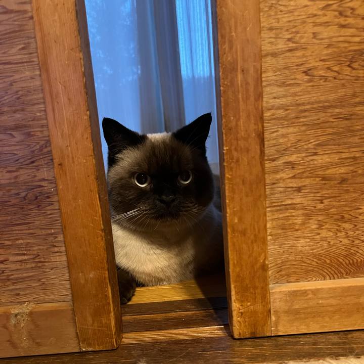 8fce7202 83a1 43e8 a02f 9e89f2d24c86 1636027465736