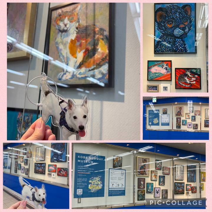 8fce79ae ff53 4f43 bfa3 daae8e76b138 1770007946067