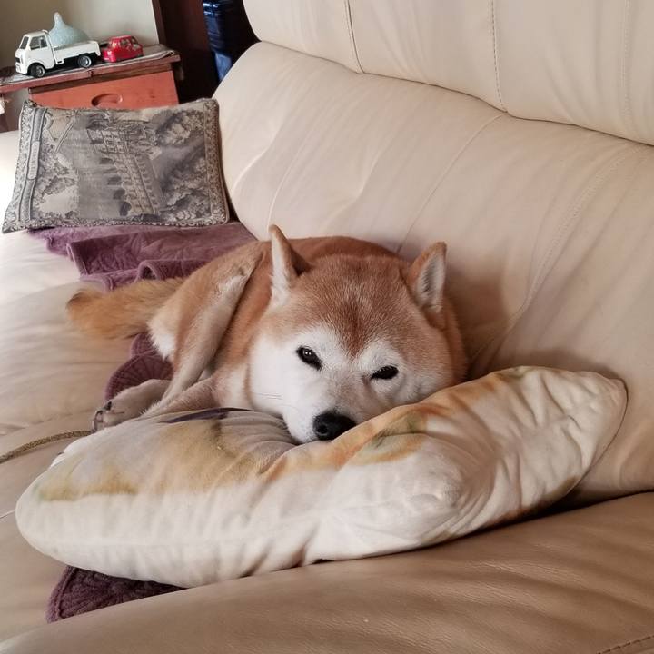 8fce90bc 89ea 463f b31d 9c4976be588b 1668991410142