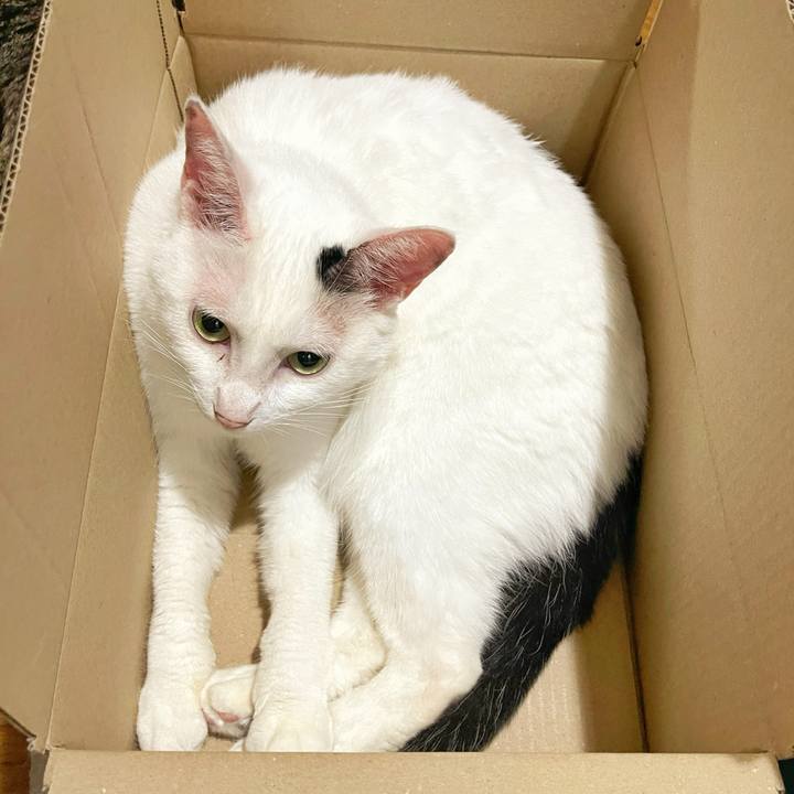 8fceb4d2 736d 4cd2 9303 000b0e915756 1753916231494