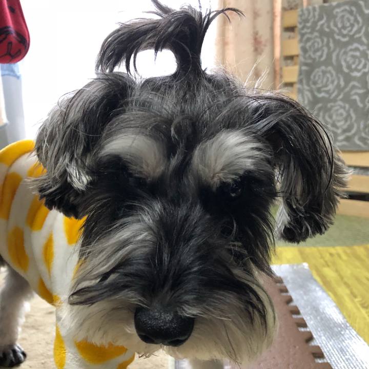 8fceb65a 459d 479b 90ba ede18a550b50 1516500226434