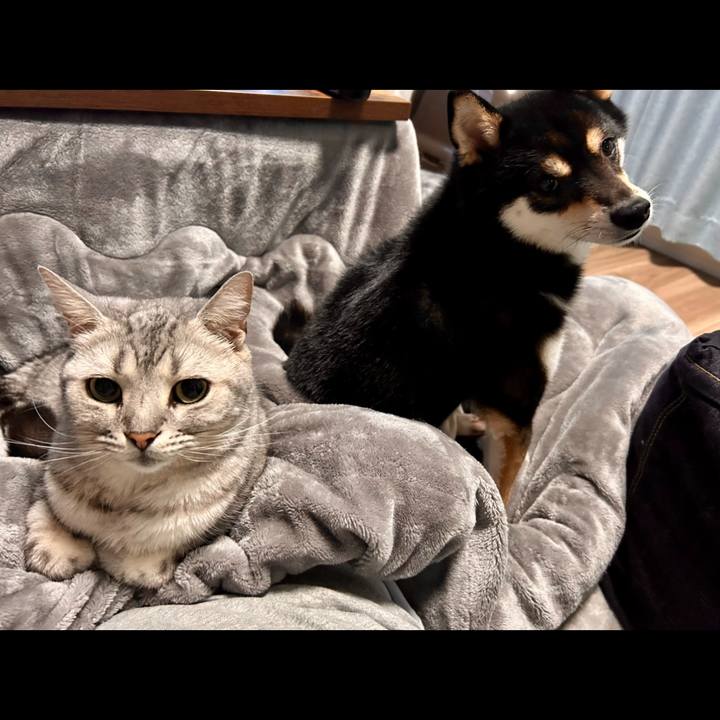 8fcebe17 6746 4f92 a148 0d0aa41d9bb6 1686058367151