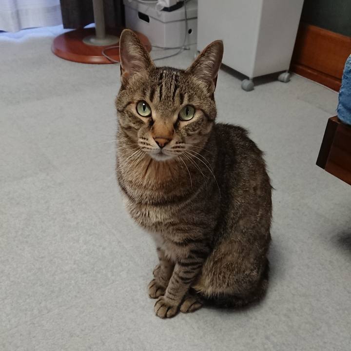 8fceec71 8f9b 439a 8cda 47db33f632dd 1619601394660