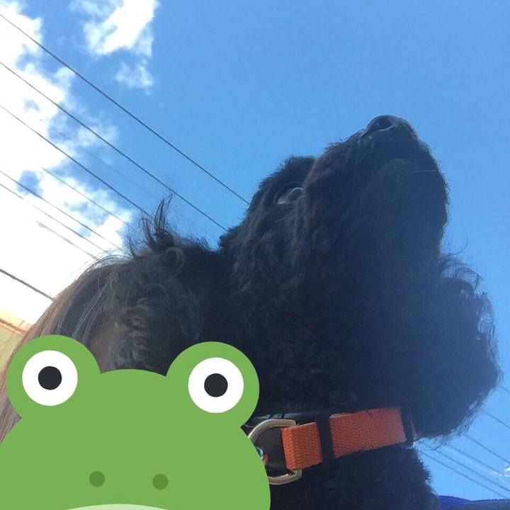 8fceecfd 3a94 45f1 a9c1 caab2b65c203 1510808957894