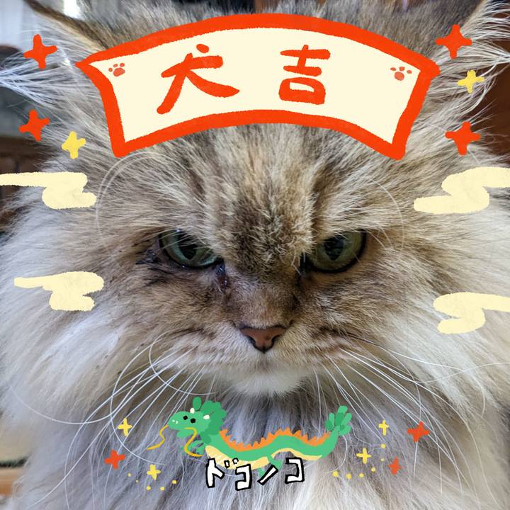 8fcf19a2 c89d 4321 abd7 d693dcdcc2f3 1704249123729