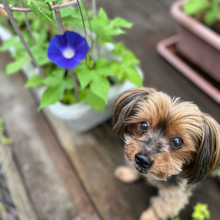 8fcf1cc9 3765 4d26 8c6a 23e9d53ea5a4 1719871897368