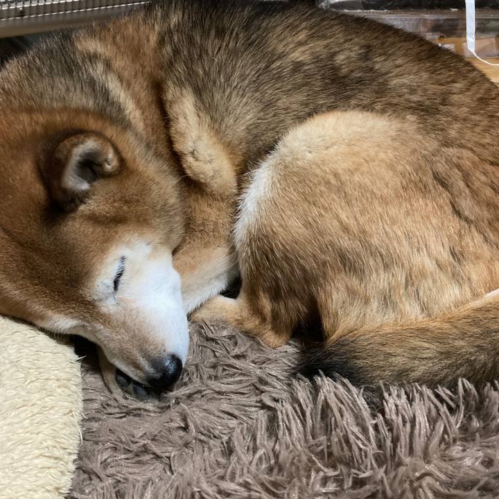 8fcf303b 20f7 4a6d 94fe c05499fdfc61 1672923425935