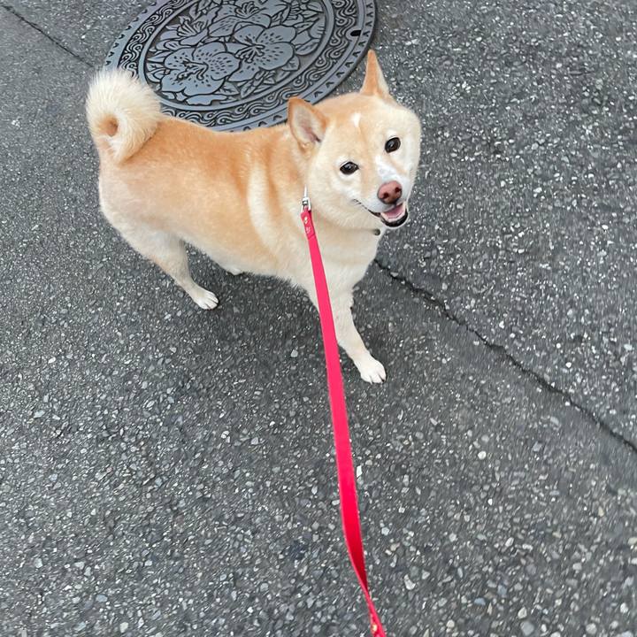 8fcf3cde 448d 4a4d bb9b 306e8a9a3d39 1697022863321