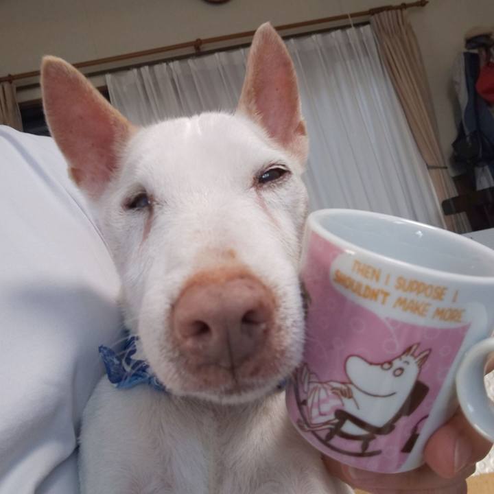 8fcf6d38 89fe 42b5 a436 d202a26f6857 1564699451848